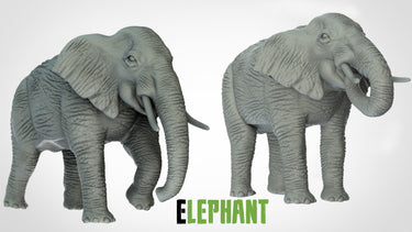 Elephants